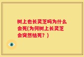 树上也长灵芝吗为什么会死(为何树上长灵芝会突然枯死？)