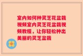 室内如何种灵芝花盆栽视频室内灵芝花盆栽视频教程，让你轻松种出美丽的灵芝盆栽