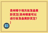 贵州哪个地方批发桑黄野灵芝(贵州哪里可以进行批发桑黄野灵芝？)