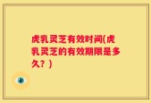 虎乳灵芝有效时间(虎乳灵芝的有效期限是多久？)