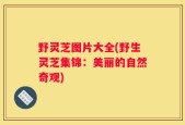 野灵芝图片大全(野生灵芝集锦：美丽的自然奇观)