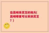 在昆明采灵芝的地方(昆明哪里可以采到灵芝？)