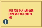 野生灵芝多大比较值钱(野生灵芝大小决定价格)