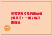 黄灵芝图片及药用价值(黄灵芝：一图了解药用价值)