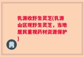乳源收野生灵芝(乳源山区现野生灵芝，当地居民重视药材资源保护)