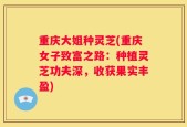 重庆大姐种灵芝(重庆女子致富之路：种植灵芝功夫深，收获果实丰盈)