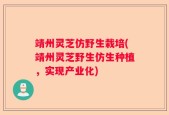 靖州灵芝仿野生栽培(靖州灵芝野生仿生种植，实现产业化)