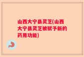 山西大宁县灵芝(山西大宁县灵芝被赋予新的药用功能)