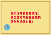 黑灵芝片和野生紫芝(黑灵芝片与野生紫芝的区别与功效对比)