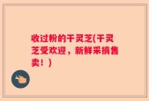 收过粉的干灵芝(干灵芝受欢迎，新鲜采摘售卖！)