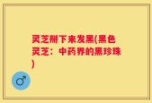 灵芝掰下来发黑(黑色灵芝：中药界的黑珍珠)