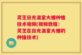 灵芝日光温室大棚种植技术视频(视频教程：灵芝在日光温室大棚的种植技术)