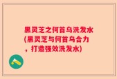 黑灵芝之何首乌洗发水(黑灵芝与何首乌合力，打造强效洗发水)