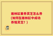 雨林缸里养灵芝怎么养(如何在雨林缸中成功养殖灵芝？)