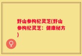 野山参枸杞灵芝(野山参枸杞灵芝：健康秘方)