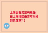 上海会有灵芝吗现在(在上海地区是否可以找到灵芝草？)