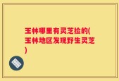玉林哪里有灵芝捡的(玉林地区发现野生灵芝)
