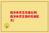 西洋参灵芝泡酒比例(西洋参灵芝酒的完美配方)