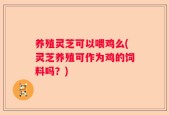 养殖灵芝可以喂鸡么(灵芝养殖可作为鸡的饲料吗？)