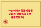 什么树墩长灵芝树好看又好养(树墩长灵芝树：好看又好养)