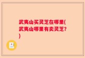 武夷山买灵芝在哪里(武夷山哪里有卖灵芝？)