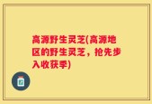 高源野生灵芝(高源地区的野生灵芝，抢先步入收获季)