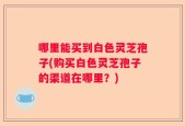 哪里能买到白色灵芝孢子(购买白色灵芝孢子的渠道在哪里？)