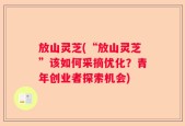 放山灵芝(“放山灵芝”该如何采摘优化？青年创业者探索机会)