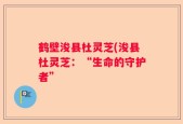鹤壁浚县杜灵芝(浚县杜灵芝：“生命的守护者”