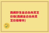 西藏野生金边白肉灵芝价格(西藏金边白肉灵芝价格攀升)