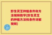 野生灵芝种植条件和方法视频教学(野生灵芝的种植方法和条件详解视频)
