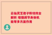 云仙灵芝孢子粉功效全解析 增强调节身体机能等多方面作用