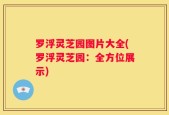 罗浮灵芝园图片大全(罗浮灵芝园：全方位展示)