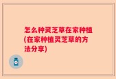 怎么种灵芝草在家种植(在家种植灵芝草的方法分享)