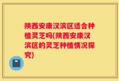 陕西安康汉滨区适合种植灵芝吗(陕西安康汉滨区的灵芝种植情况探究)