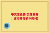 干灵芝桑黄(灵芝桑黄：古老神奇的中药材)