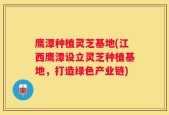 鹰潭种植灵芝基地(江西鹰潭设立灵芝种植基地，打造绿色产业链)