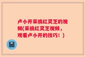 卢小开采摘红灵芝的视频(采摘红灵芝视频，观看卢小开的技巧！)