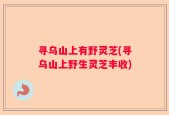 寻乌山上有野灵芝(寻乌山上野生灵芝丰收)