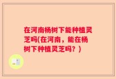 在河南杨树下能种植灵芝吗(在河南，能在杨树下种植灵芝吗？)