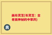 画石灵芝(石灵芝：古老而神秘的中草药)