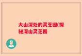 大山深处的灵芝园(探秘深山灵芝园