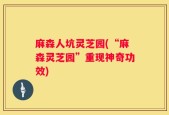 麻森人坑灵芝园(“麻森灵芝园”重现神奇功效)