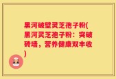 黑河破壁灵芝孢子粉(黑河灵芝孢子粉：突破砖墙，营养健康双丰收)