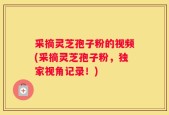 采摘灵芝孢子粉的视频(采摘灵芝孢子粉，独家视角记录！)