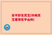 乐平野生灵芝(珍稀灵芝重现乐平山林)