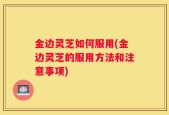 金边灵芝如何服用(金边灵芝的服用方法和注意事项)