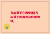 万年灵芝在哪使用(万年灵芝的用途及应用领域)