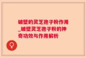 破壁的灵芝孢子粉作用_破壁灵芝孢子粉的神奇功效与作用解析