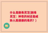 什么是剧毒灵芝(剧毒灵芝：神奇药材还是威胁人类健康的毒药？)